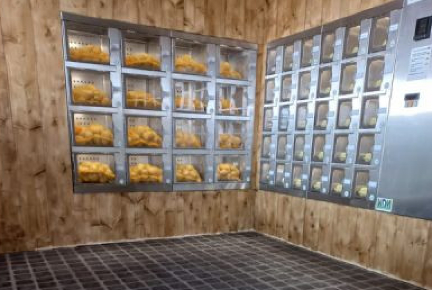 In de spotlight: Groen Goud Biervliet in Biervliet - 3